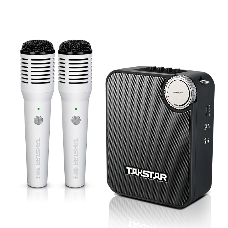 Loa trợ giảng hai micro không dây cầm tay Takstar E500W 