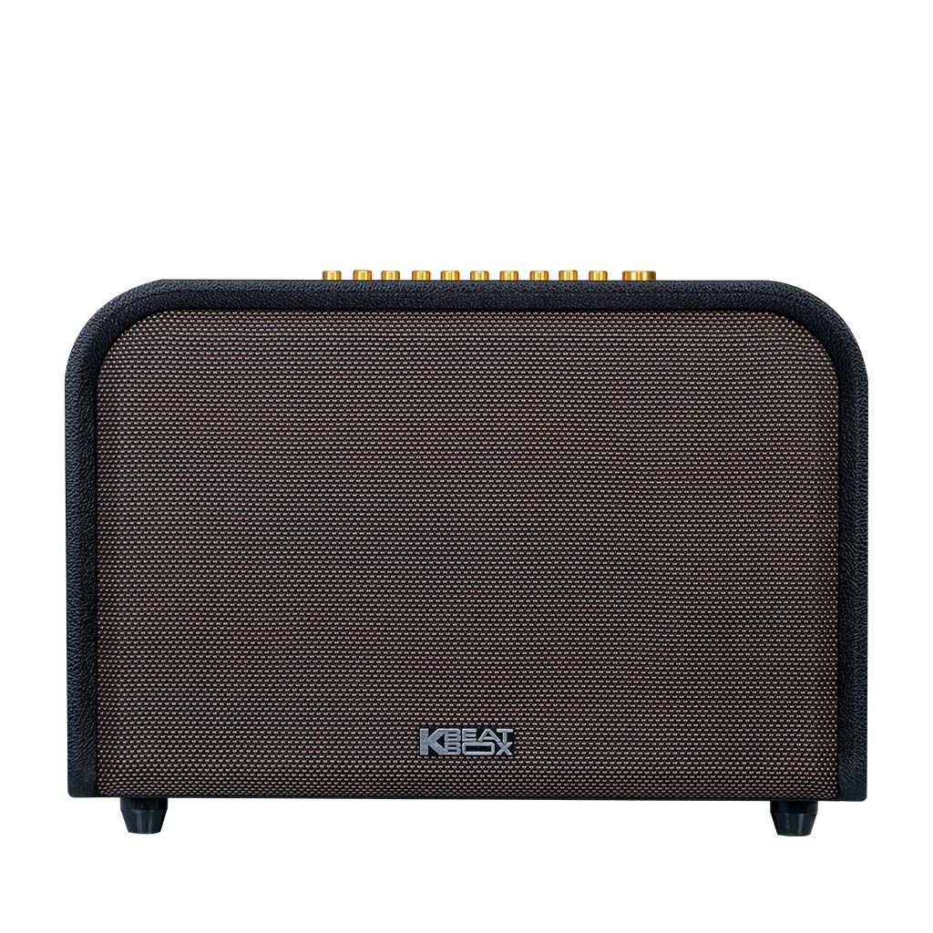 Loa di động sách tay ACNOS ACOUSTIC 3