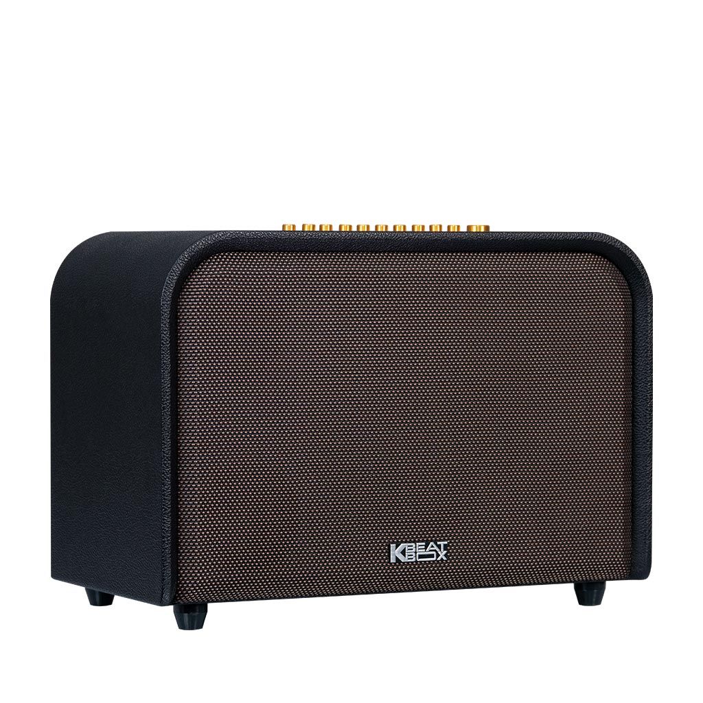 Loa di động sách tay ACNOS ACOUSTIC 3