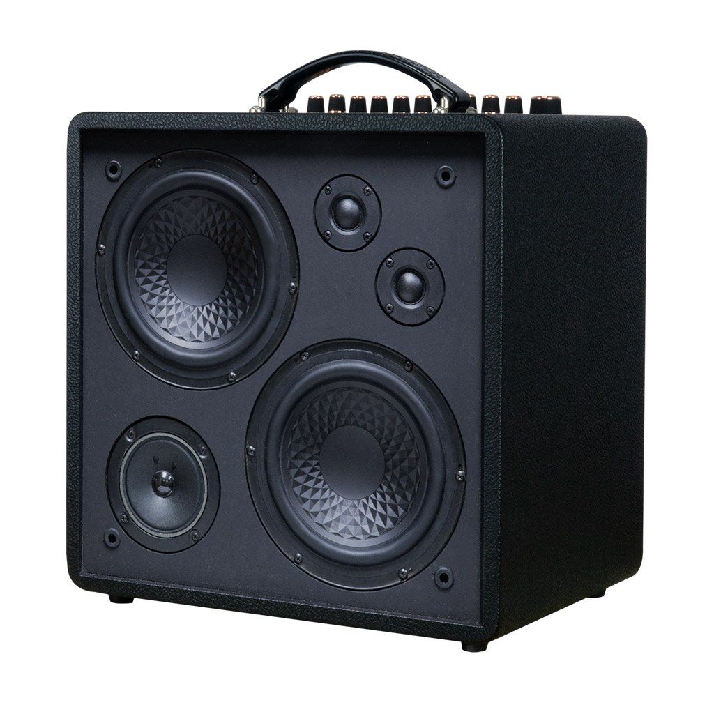 Loa sách tay ACNOS QUAD 64