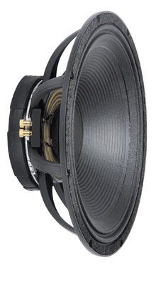 Loa bass 5 tấc Peavey Low Rider 18
