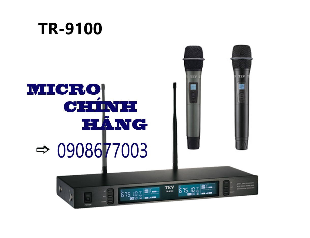 Micro không dây 2 mic TEV TR9100 