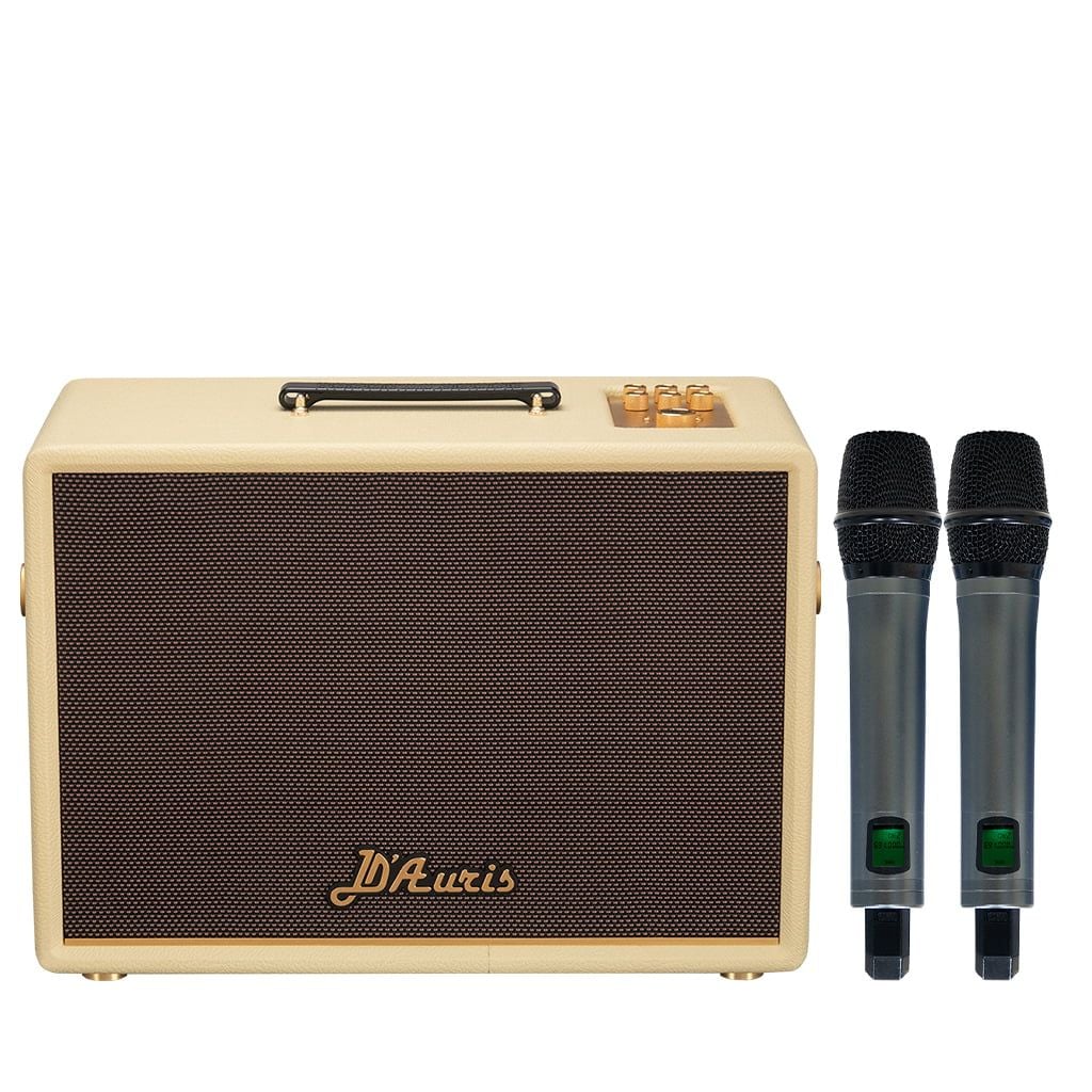 Loa Karaoke sách tay SONCAMEDIA D'Auris 300