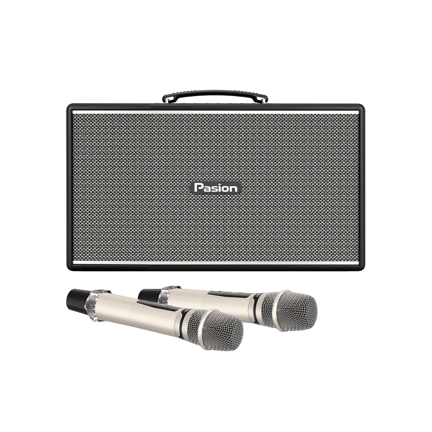 Loa sách tay PASION Enzo