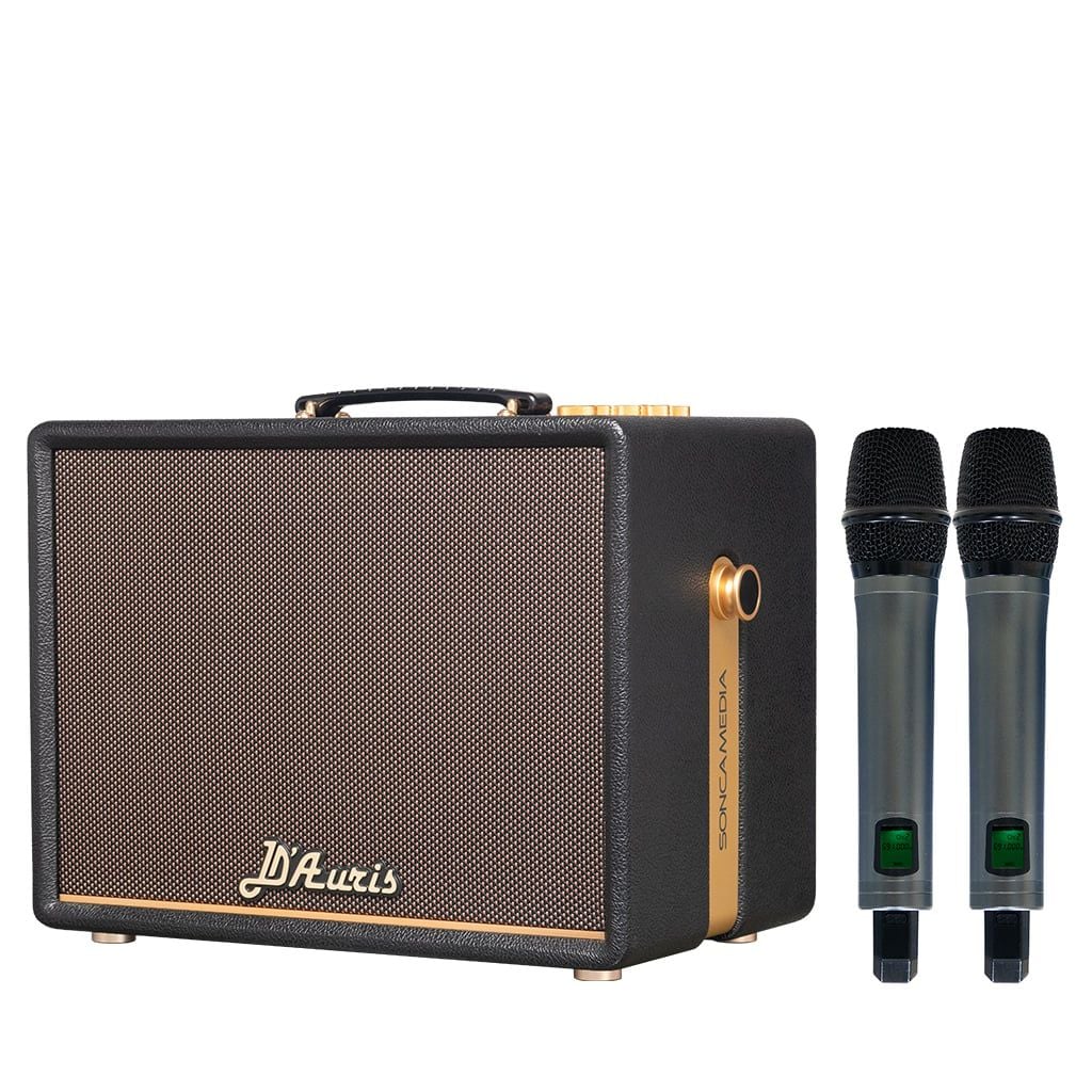 Loa Karaoke sách tay SONCAMEDIA D'Auris 200