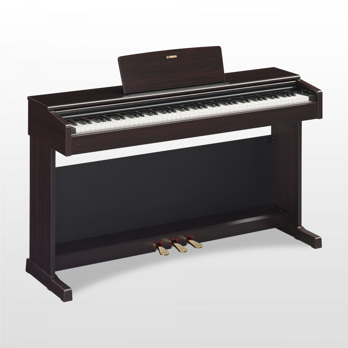 Nhận sửa chữa bảo trì đàn Piano,Organ  điện các hãng Yamaha, Korg, Roland, Casio